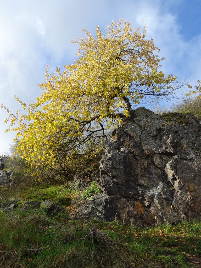 Praha - Divoká Šárka