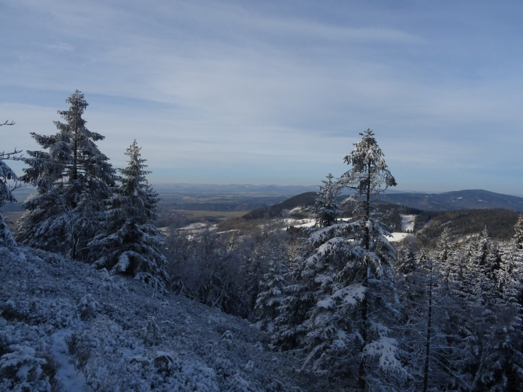 zasněžená krajina