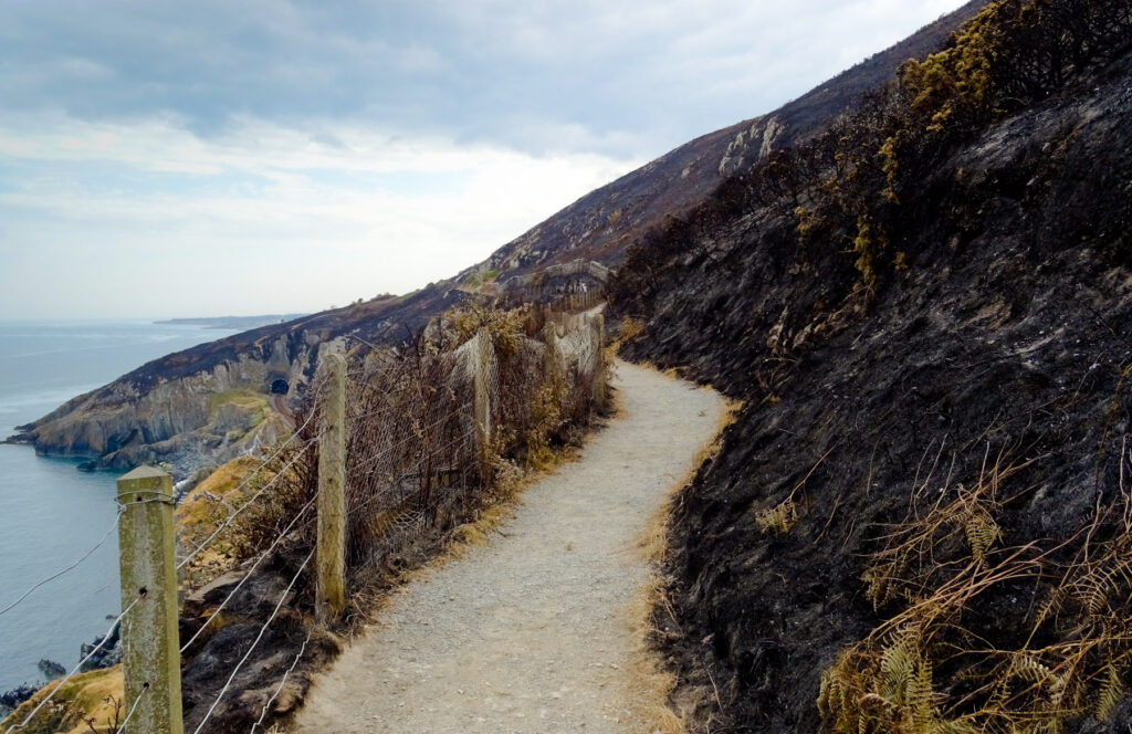 Bray -  Cliff walk