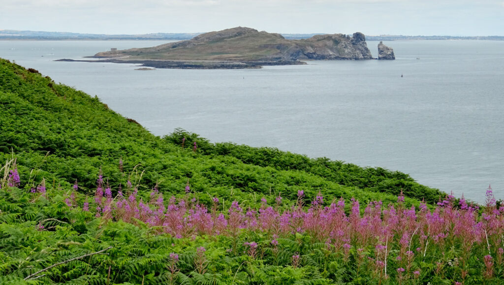 Howth - útesy