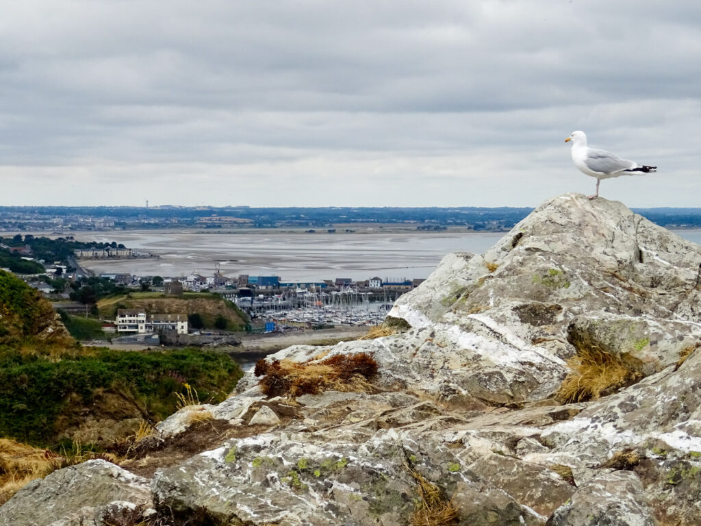 Howth - pohled z útesů na přístav