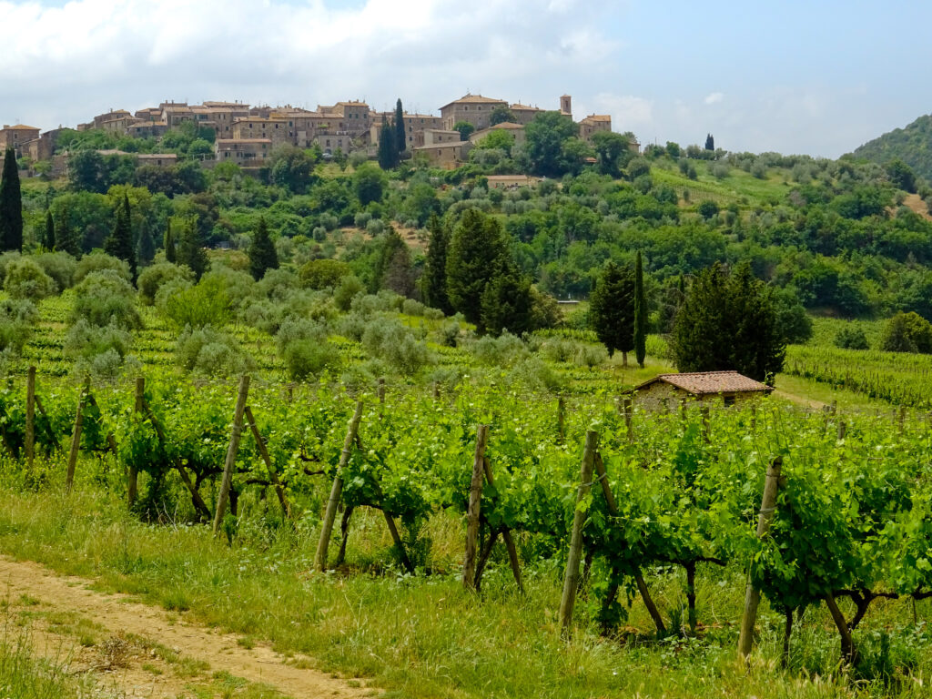 Montalcino