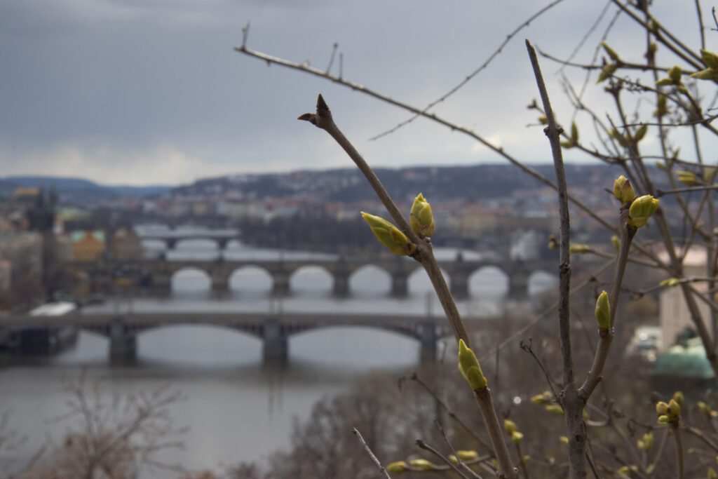 Praha - jaro na Letné