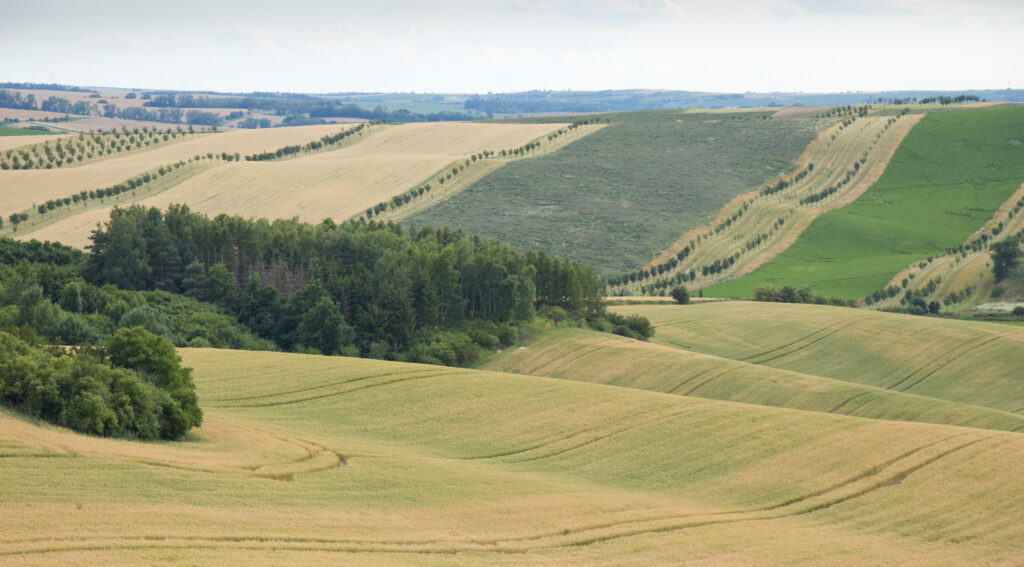 moravské Toskánsko - výhled na zvlněnou krajinu