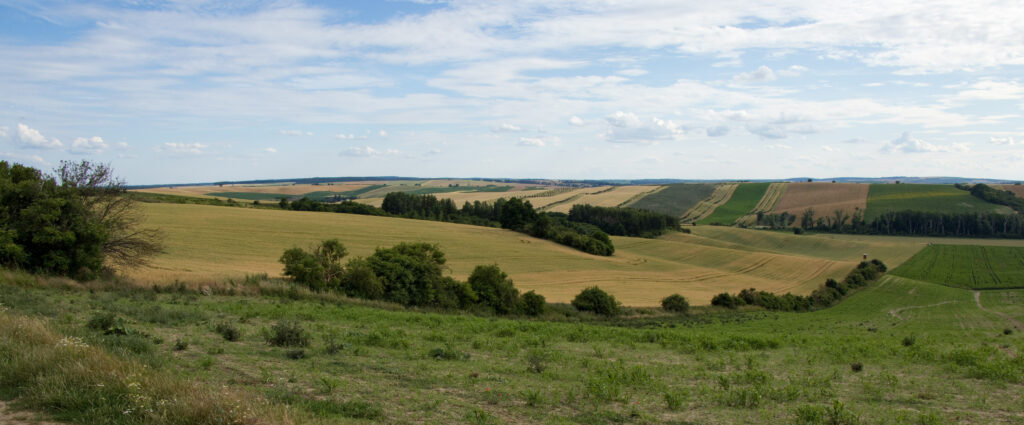 moravské Toskánsko - pole