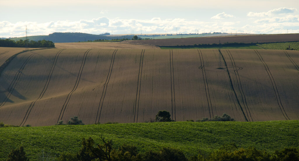 moravské Toskánsko - pole