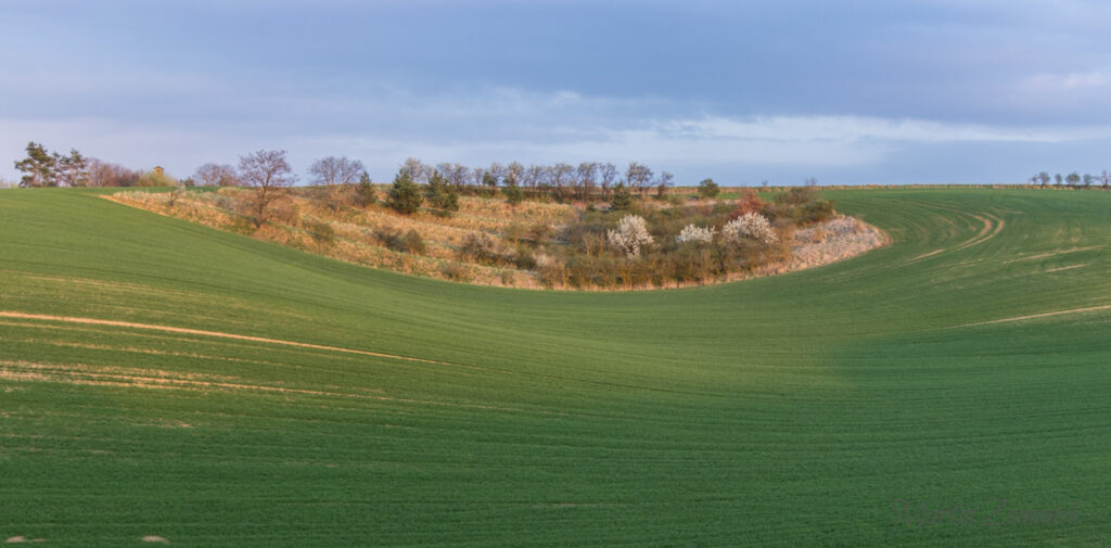 Moravské Toskánsko