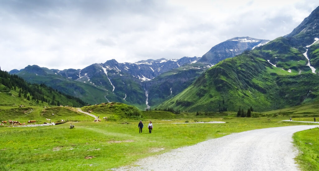 Sportgastein - pastviny