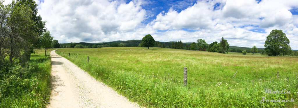 Šumava - Cesta