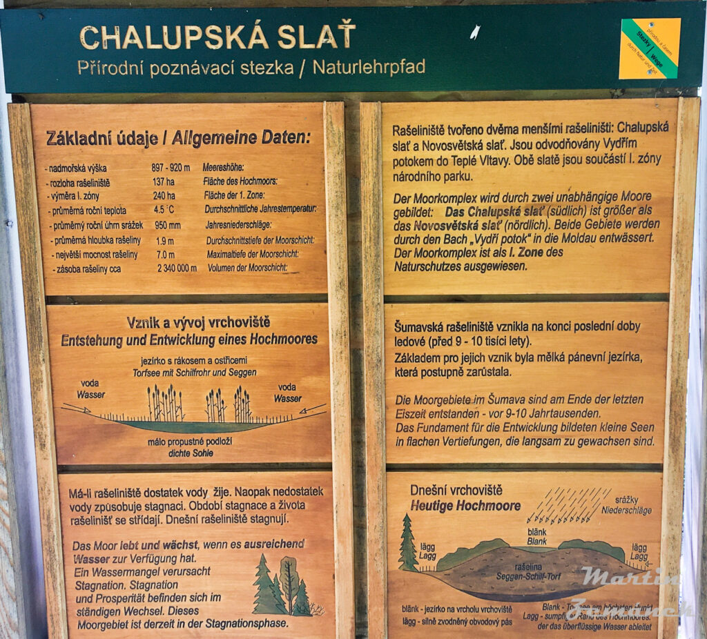 Šumava - Chalupská slať