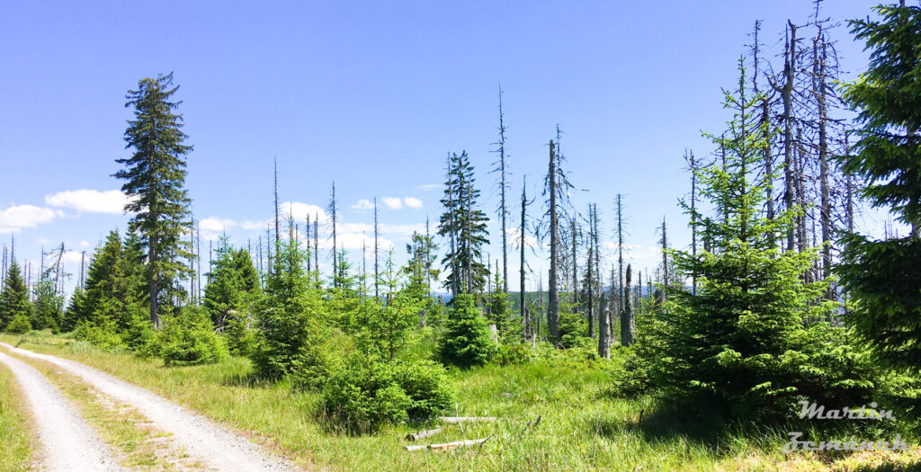 Šumava - Cesta na Poledník