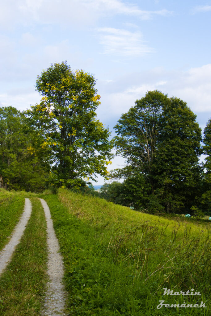 Šumava - cesta k zaniklé obci