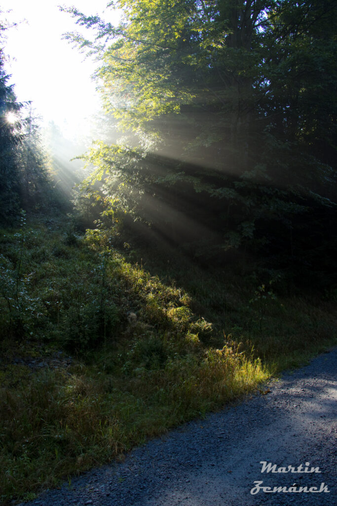 Šumava - Sluneční paprsky