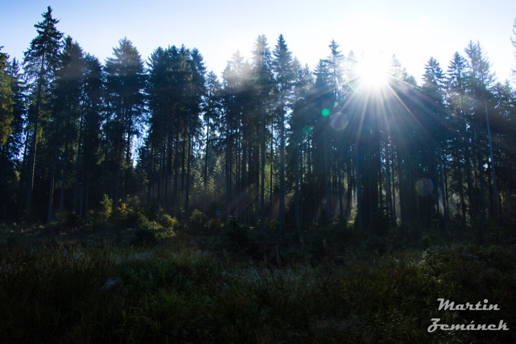 Šumava