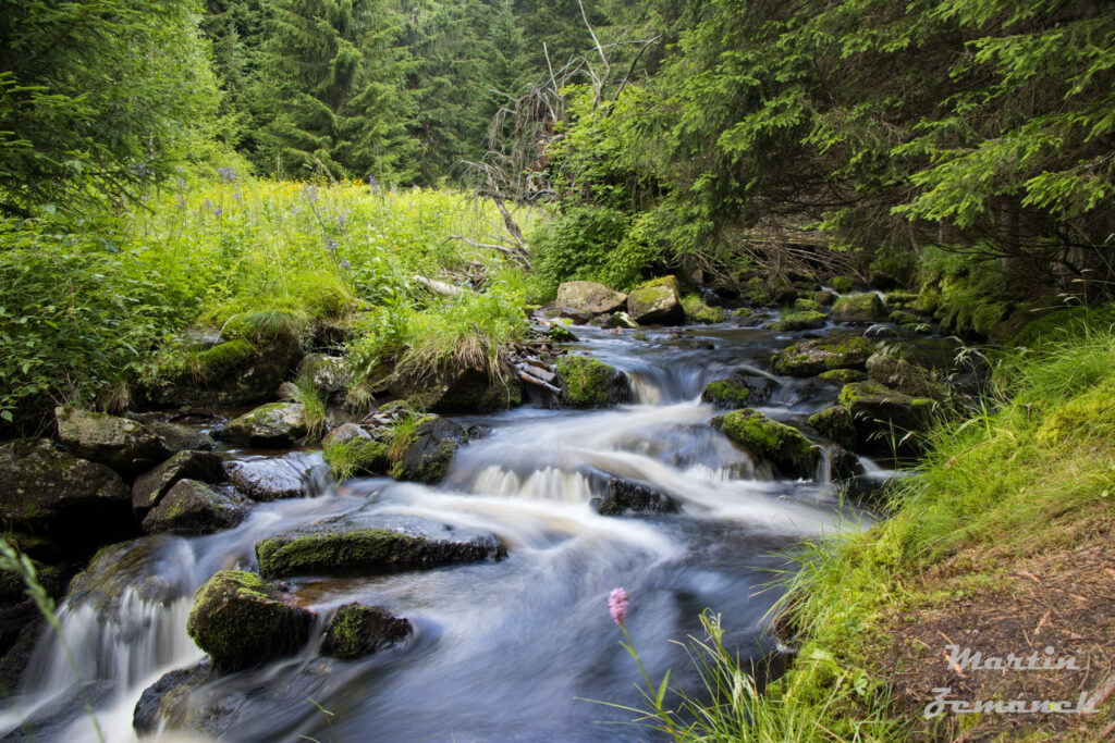 Šumava - potok Filipohuťský