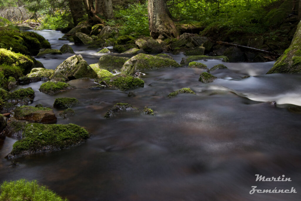 Šumava - potok Filipohuťský