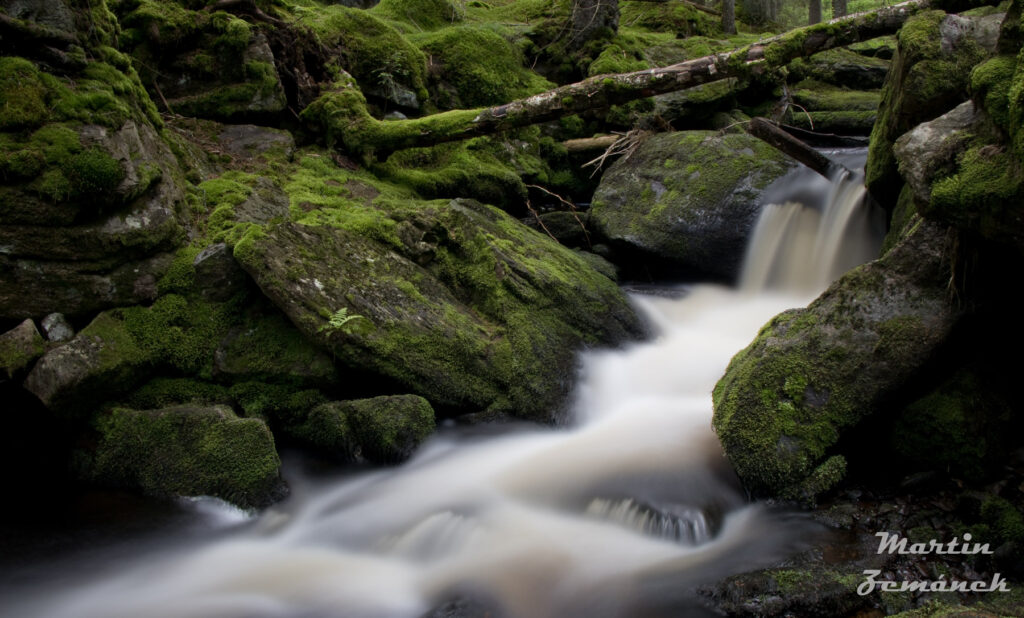 Šumava - potok Filipohuťský