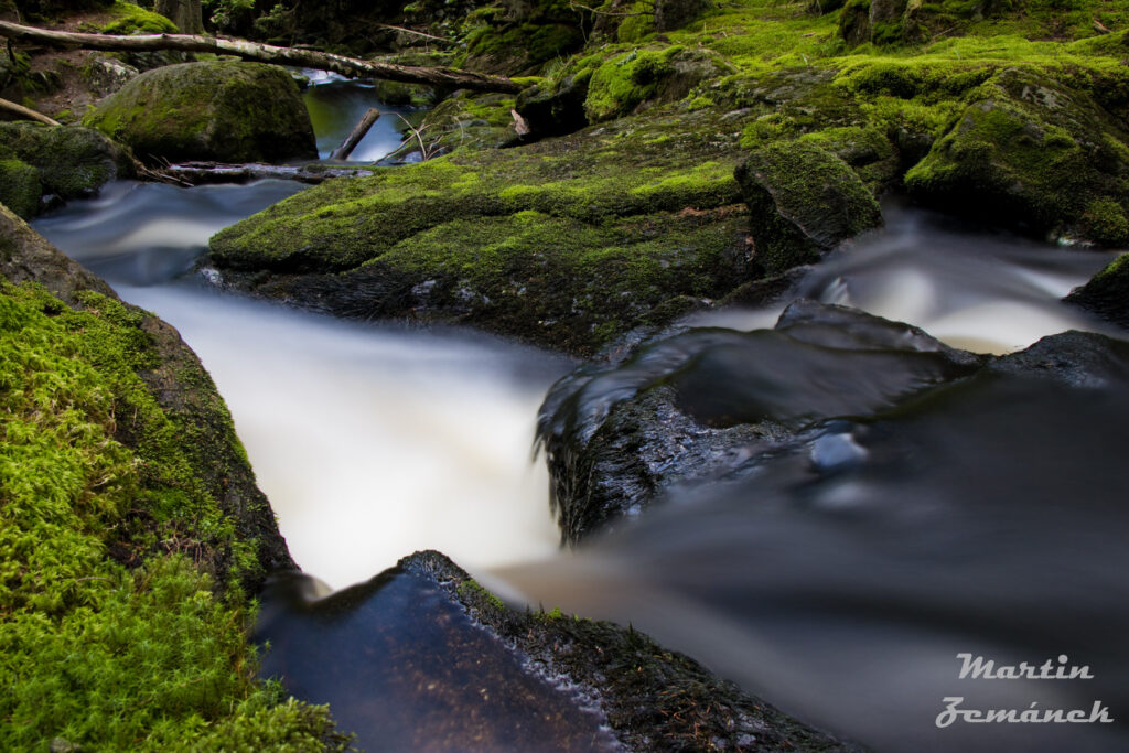 Šumava - potok Filipohuťský