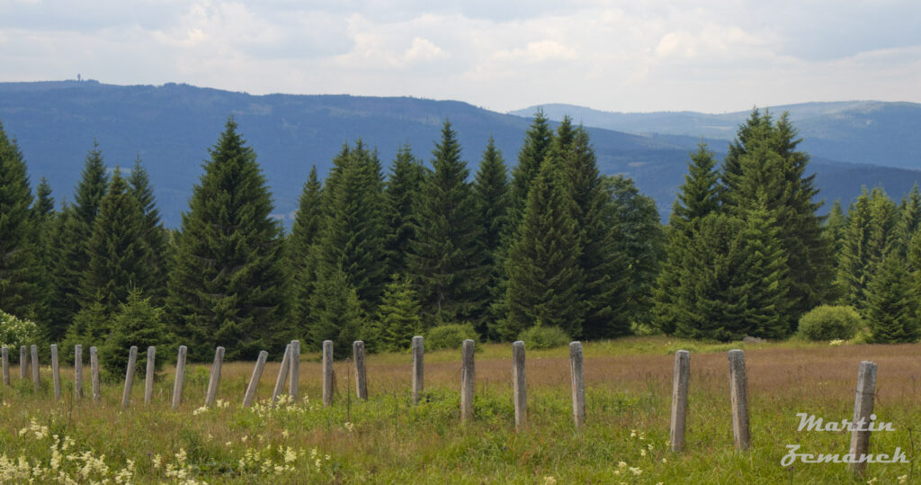 Šumava - Zhůří