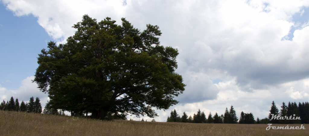 Šumava - Zhůří