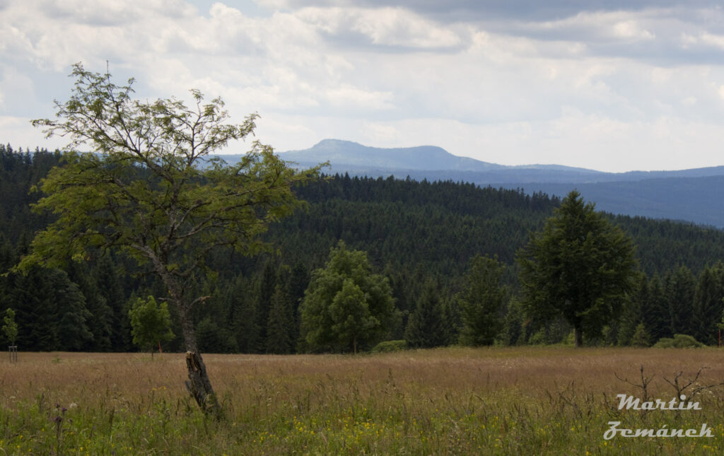 Šumava - Zhůří