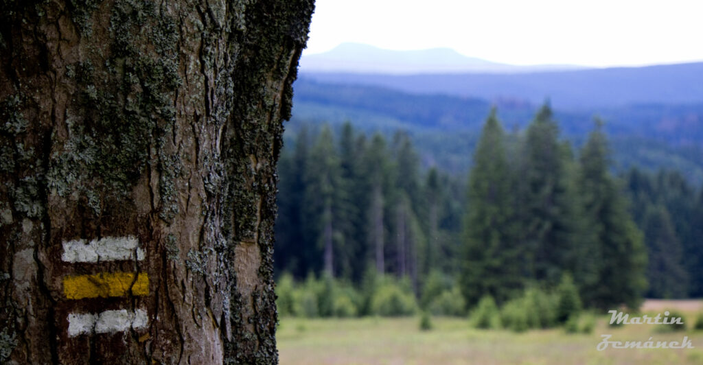 Šumava - pláň