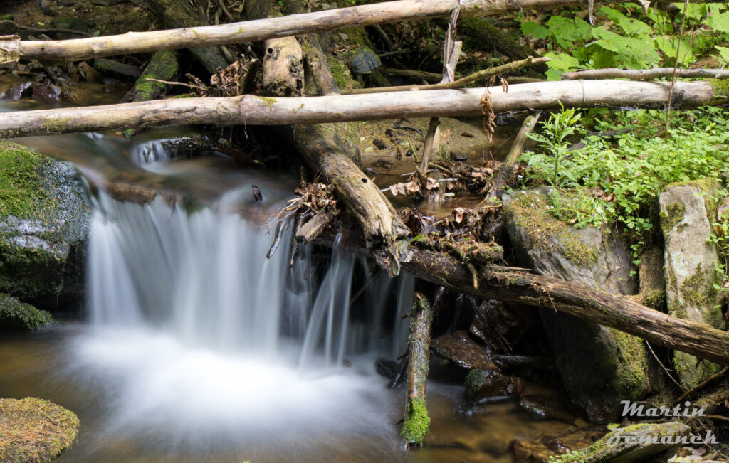 Šumava - Zhůřský potok