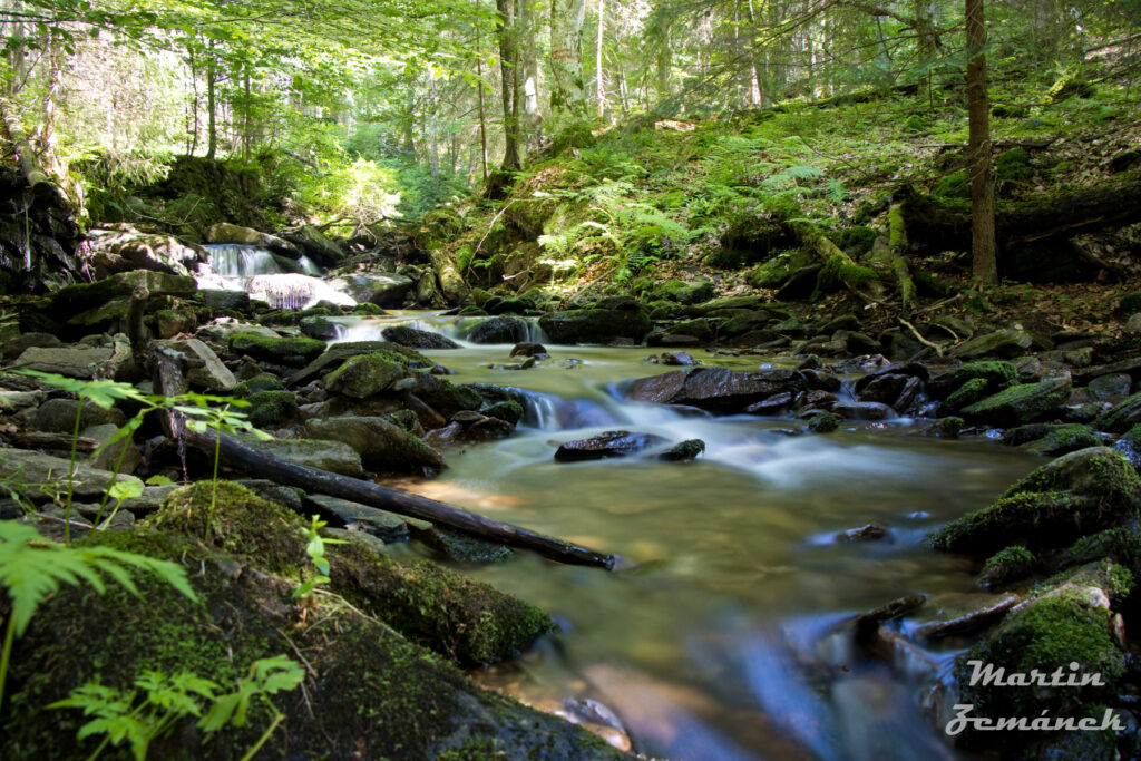 Šumava - Zhůřský potok