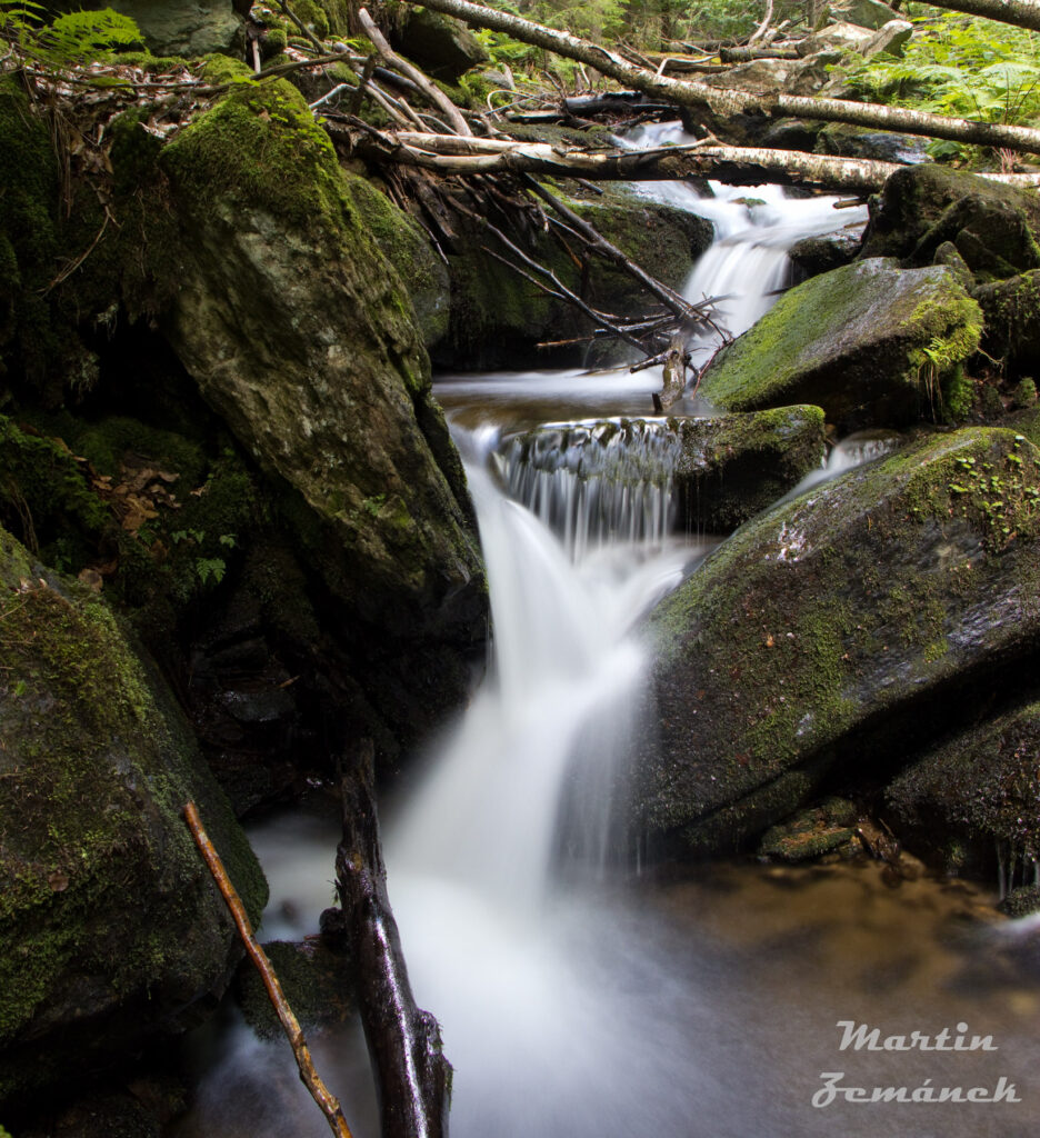 Šumava - Zhůřský potok