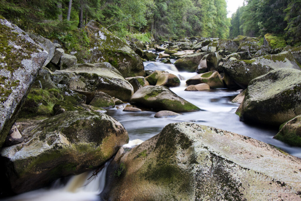 Šumava - Vydra