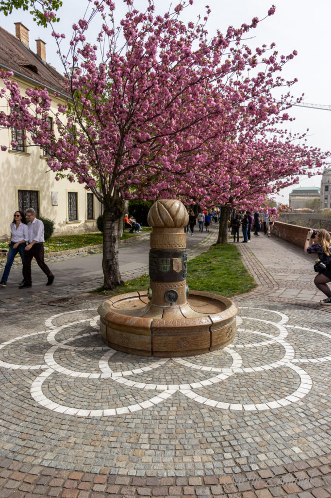 Budapešť - rozkvetlá alej na hradě