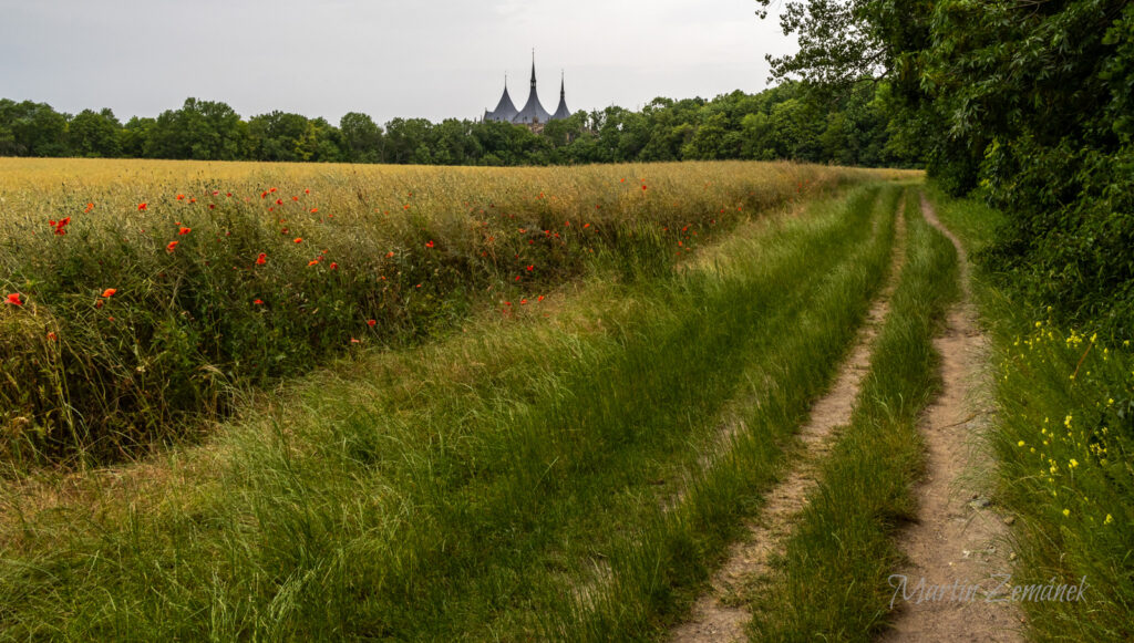 Kutná Hora - Chrám sv. Barbory