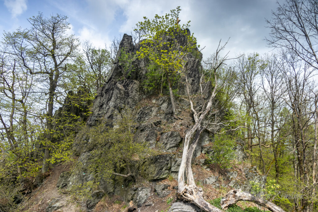 Výlet na Sedlo - Vrchol s Křížem