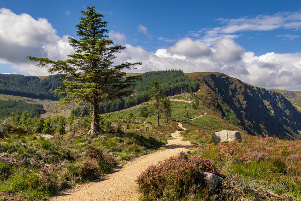 Irsko - Glendalough